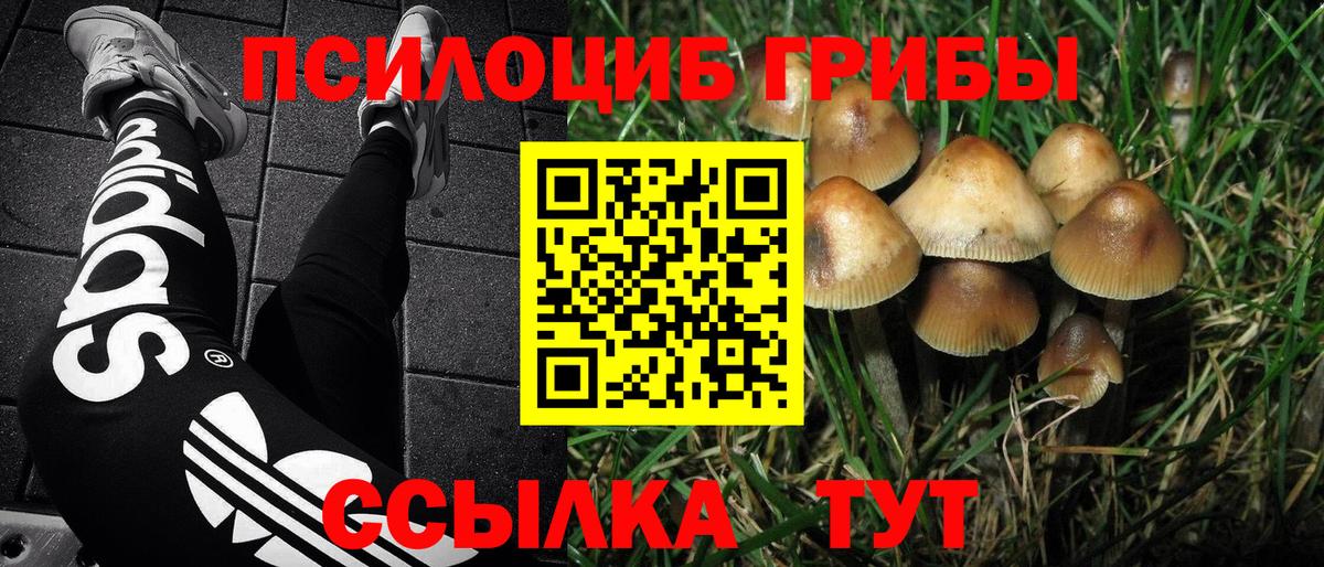 Псилоцибиновые грибы мухоморы  как найти наркотики  Галлюциногенные грибы мухоморы  Барнаул  Вход с VPN 